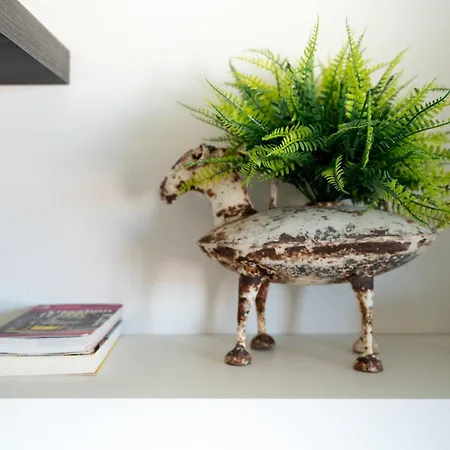 Sea View & Sundown, 150m From The And Surf Spots